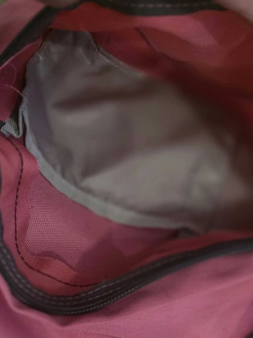 JanSport Pink Classic Backpack